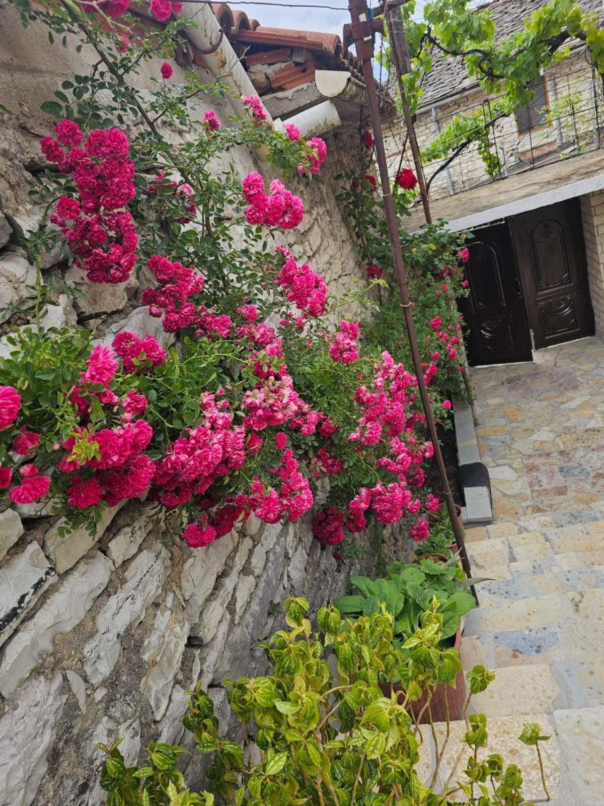Luigi Guest House Gjirokaster Ngoại thất bức ảnh