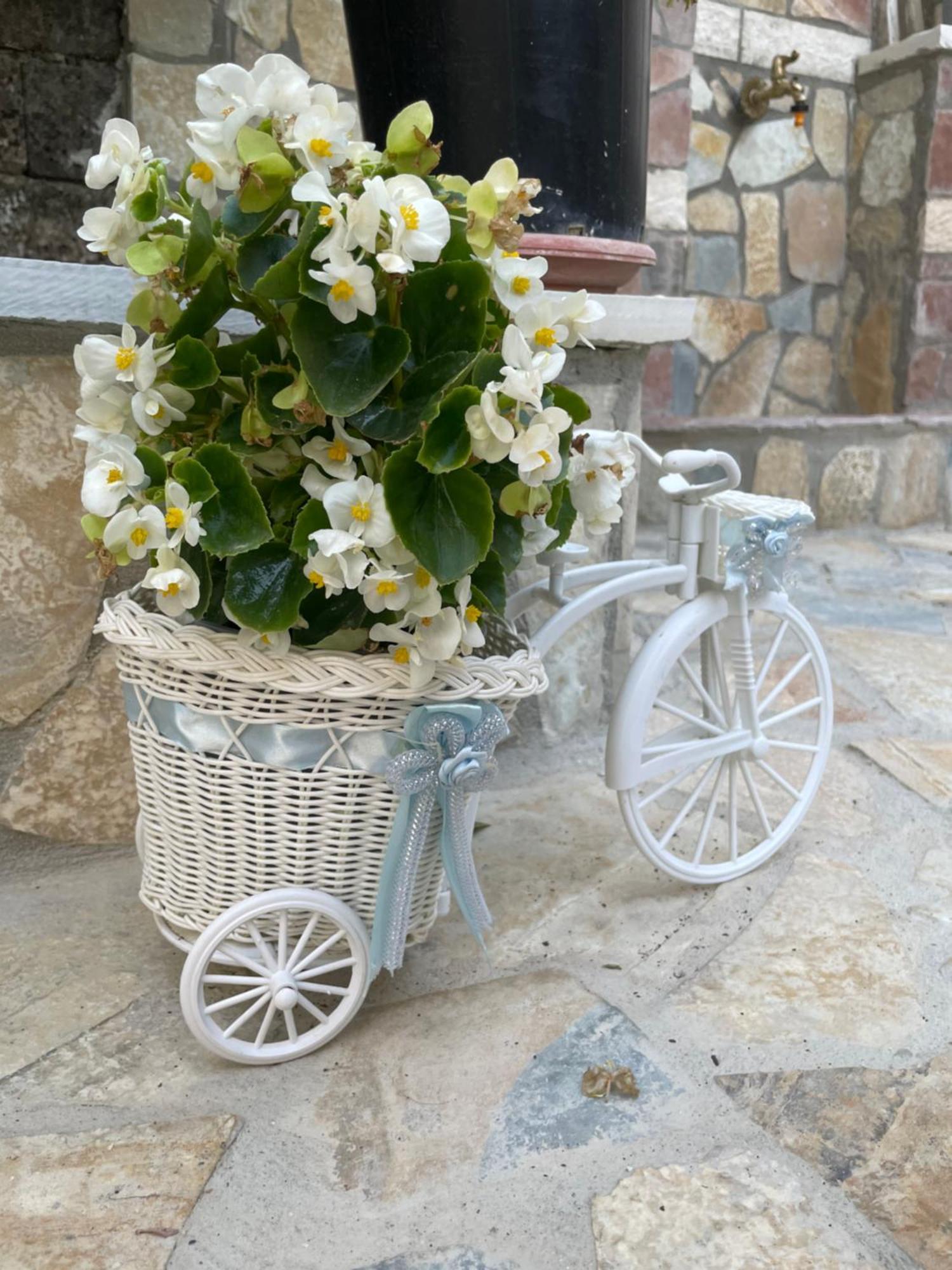 Luigi Guest House Gjirokaster Ngoại thất bức ảnh