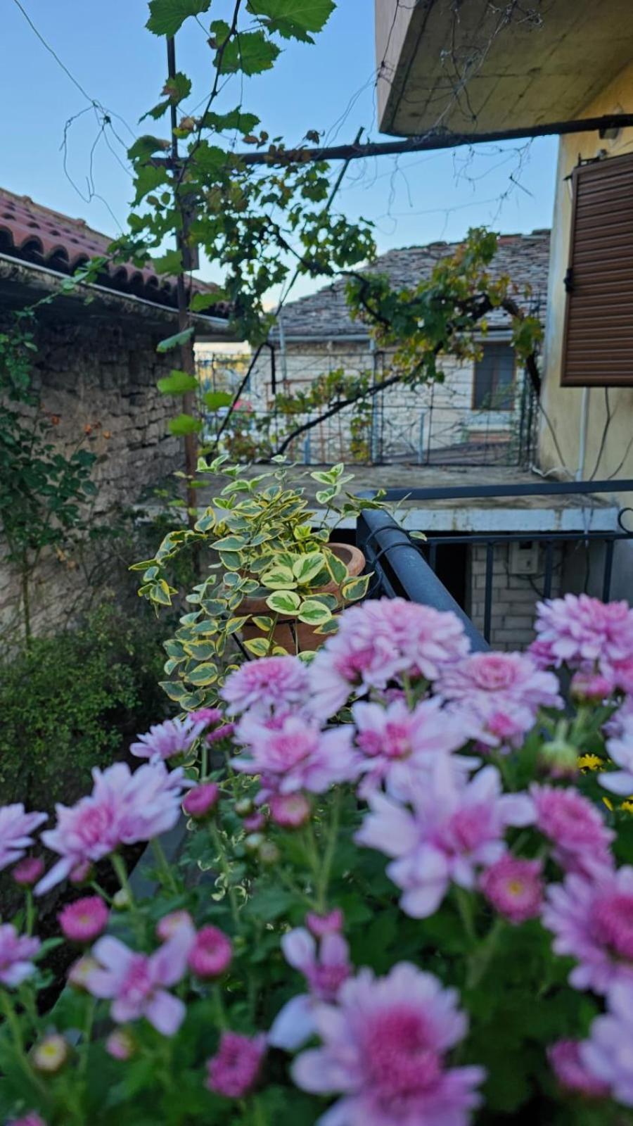 Luigi Guest House Gjirokaster Ngoại thất bức ảnh