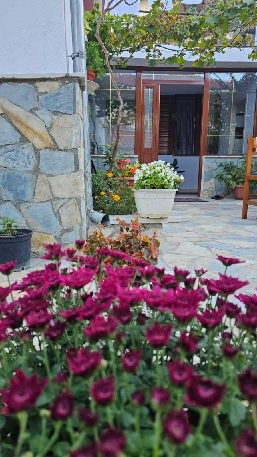 Luigi Guest House Gjirokaster Ngoại thất bức ảnh